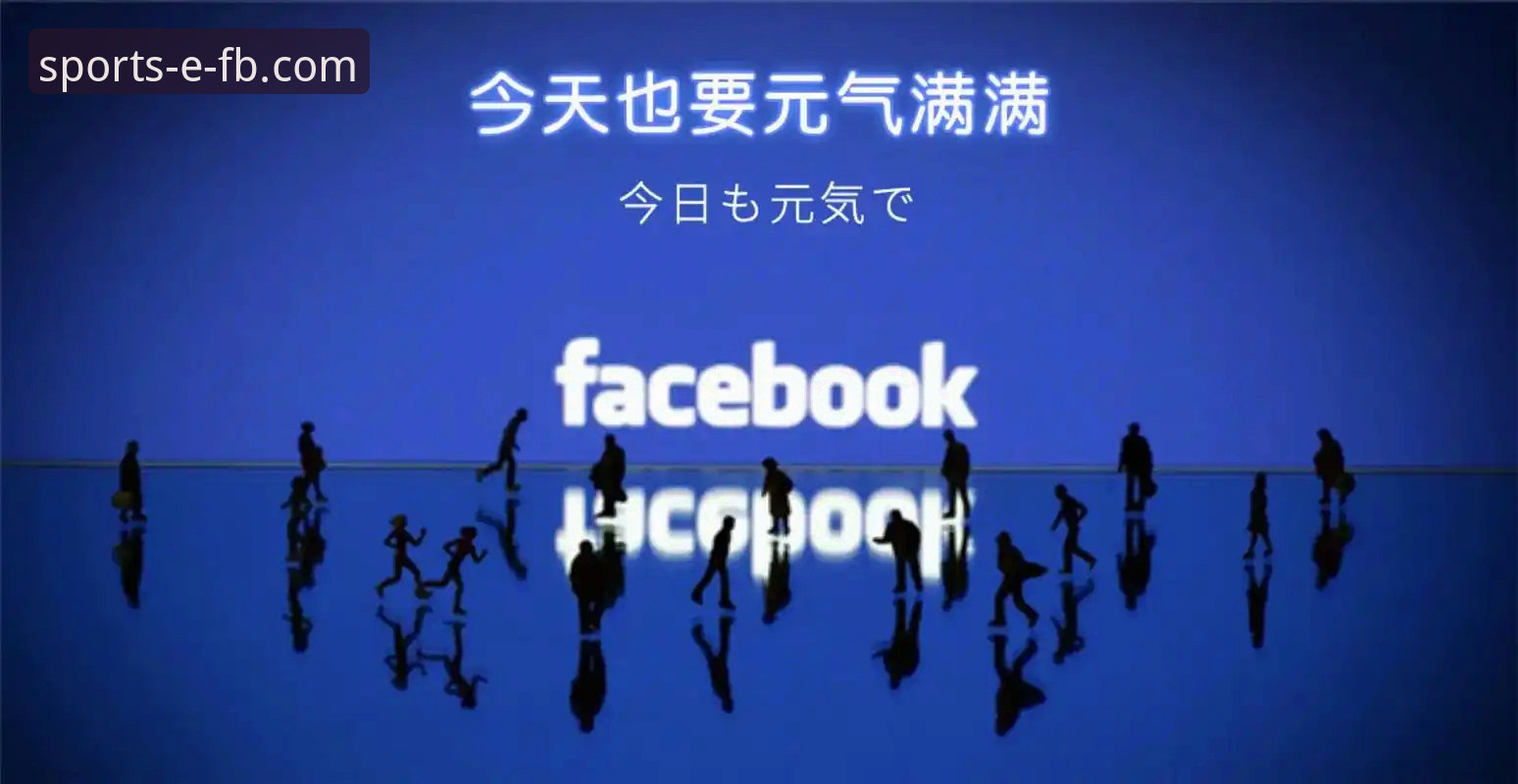 FB体育官方网站下载 vs 手机版：哪个更适合你的实时体育直播需求？